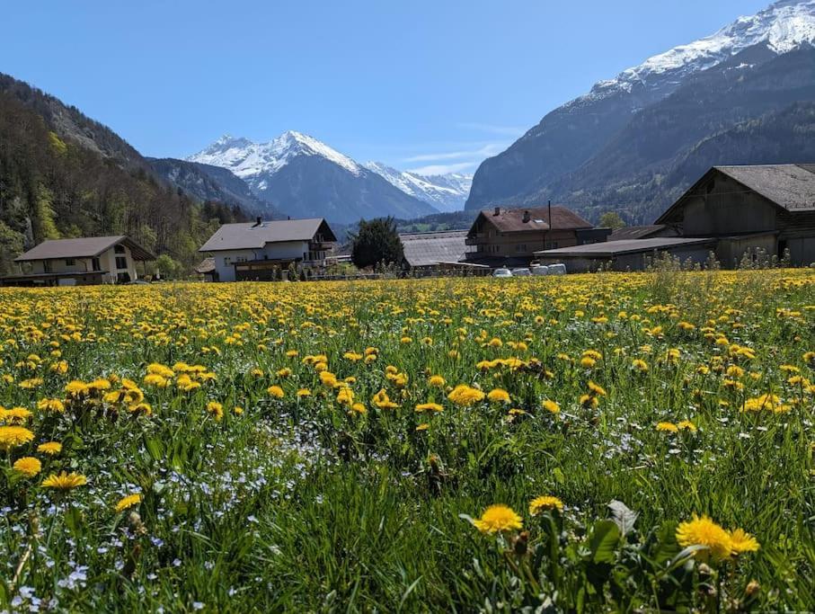 Alpine W/parking And Porch Meiringen